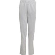 Jogging housut / Ulkoiluvaattee adidas  Squadra 25  EU S