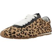 Kengät Lodi  SO5508  37