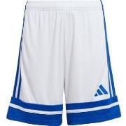 Shortsit & Bermuda-shortsit adidas  Squadra 25  EU S