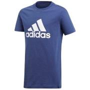 Lyhythihainen t-paita adidas  CF6505  EU XL