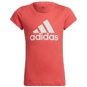 Lyhythihainen t-paita adidas  HE1979  EU M