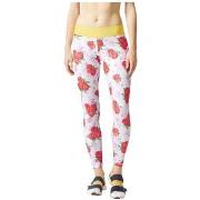 Jogging housut / Ulkoiluvaattee adidas  Stella  EU L