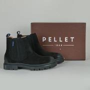 Kengät Pellet  HERVE  42