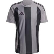 Lyhythihainen t-paita adidas  IW2145  EU L