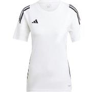 Lyhythihainen t-paita adidas  Tiro 24  EU XXL