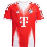Lyhythihainen t-paita adidas  Fc Bayern  EU XS