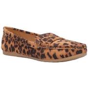 Kengät La Modeuse  73888_P174394  37