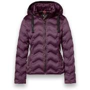 Takit District  Snowbird  EU S