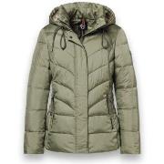 Parkatakki District  Montana  EU S