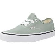 Tennarit Vans  AUTHENTIC COLOR THEORY  36