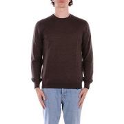 Neulepusero Fay  NMMC1512230  IT 50