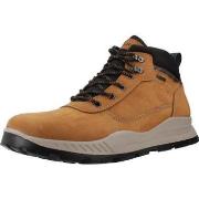 Saappaat IgI&CO  6630022IG  45