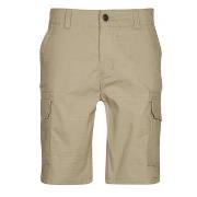 Shortsit & Bermuda-shortsit Dickies  MILLERVILLE SHORT  US 29