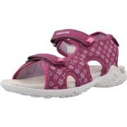 Tyttöjen sandaalit Geox  J SANDAL WHINBERRY G  36