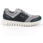 Kengät IgI&CO  -  41