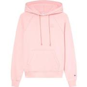 Svetari Champion  B25615  EU S