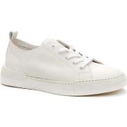 Kengät Keddo  -  36