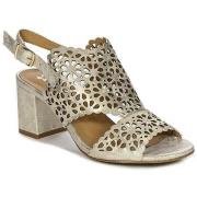 Sandaalit Maciejka  N651825001  36