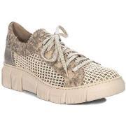 Kengät Maciejka  0585025001  36