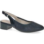 Balleriinat Caprice  -  37