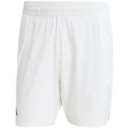 Shortsit & Bermuda-shortsit adidas  KB9662  EU M