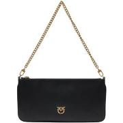 Pikkulaukut Pinko  HORIZONTAL FLAT VITELLO SETA 102747 A0F1  Yksi Koko