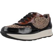 Kengät Pitillos  10902P  37