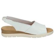 Sandaalit Doctor Cutillas  -  36