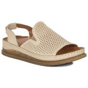 Sandaalit Maciejka  L706604001  37