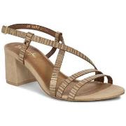 Tennarit Maciejka  0665304000  40