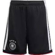 Shortsit & Bermuda-shortsit adidas  Dfb  EU S
