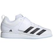 Kengät adidas  Powerlift 5  42