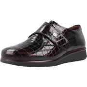 Kengät Pitillos  10714P  36