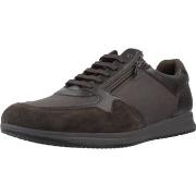 Kengät Geox  Sport   Zapatillas Hombre Modèle U Avery  40