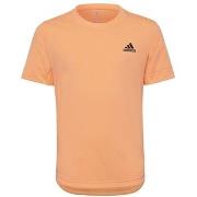 Lyhythihainen t-paita adidas  HN0094  EU XL