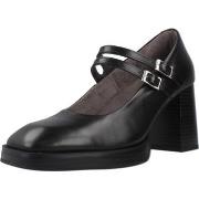 Korkokengät Pitillos  10864P  37