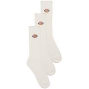 Sukat Dickies  VALLEY GROVE SOCKS WHITE  39 / 42