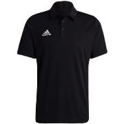 Lyhythihainen t-paita adidas  Entrada 22  EU M