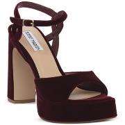 Sandaalit Steve Madden  BURGUNDY MILIANA  37