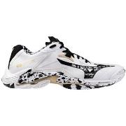 Kengät Mizuno  V1GA240041  43