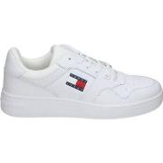 Kengät Tommy Hilfiger  EM0EM01395YBR  40
