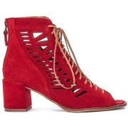 Kengät Maciejka  0404008005  38