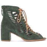 Kengät Maciejka  0404009005  37