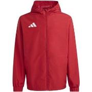 Ulkoilutakki adidas  Ent26 Aw Jkt  EU S