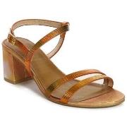 Sandaalit Maciejka  0695832000  36