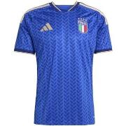 Lyhythihainen poolopaita adidas  Figc H Jsy  EU S