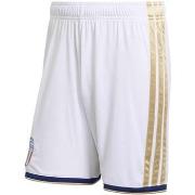 Shortsit & Bermuda-shortsit adidas  Figc H Sho  EU M