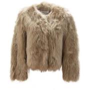 Pusakka Bully  -  IT 44