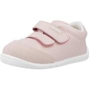 Tennarit Titanitos  B500 ORSO  19