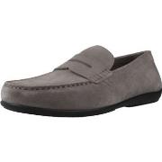 Kengät Geox  U ASCANIO  40